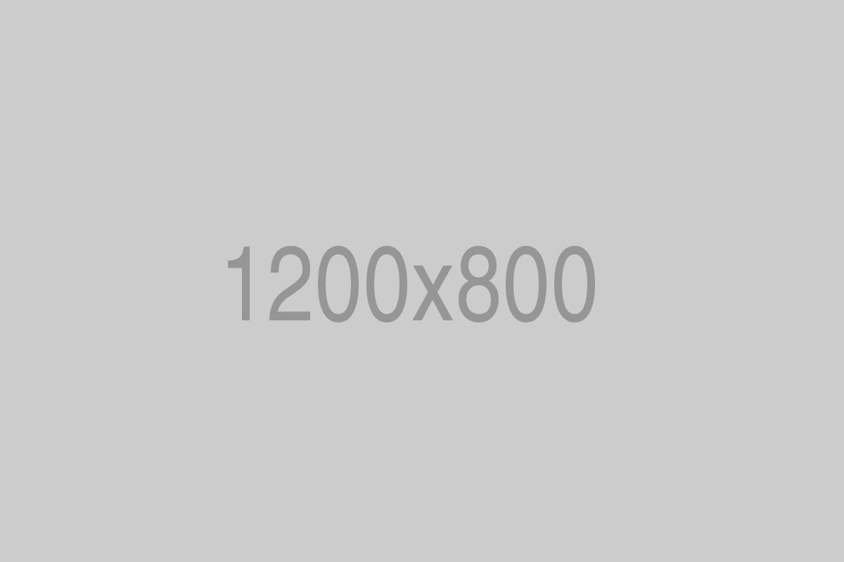 divi-treeservices-theme-4
