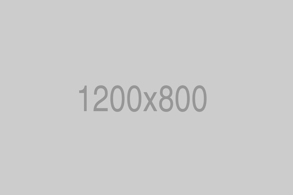 divi-treeservices-theme-8